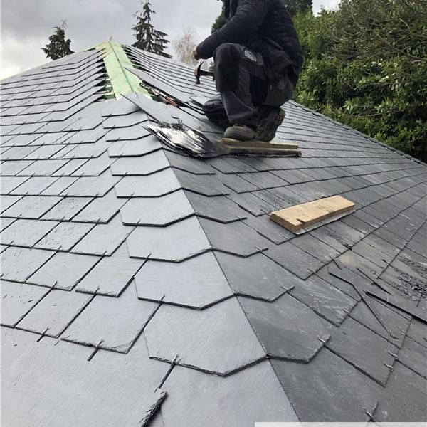 Oxira Isolation de toiture